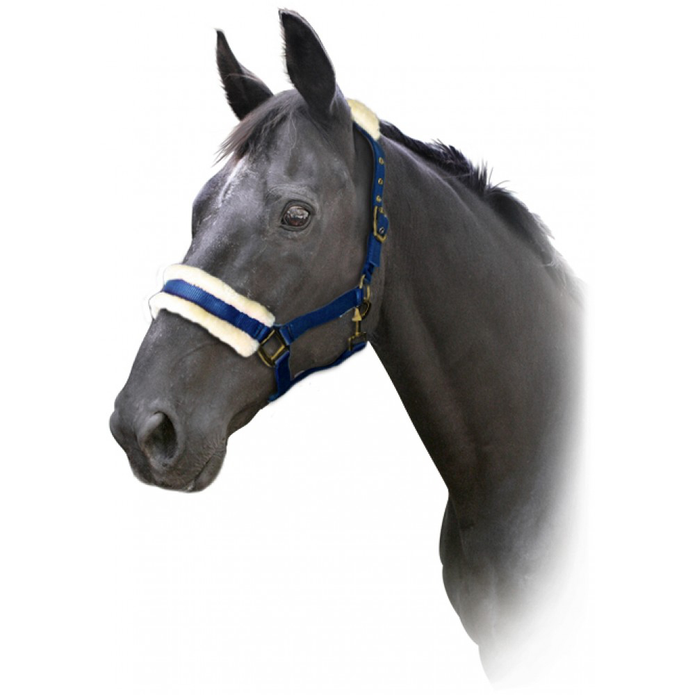 Primaミニチュアホース用フリース無口