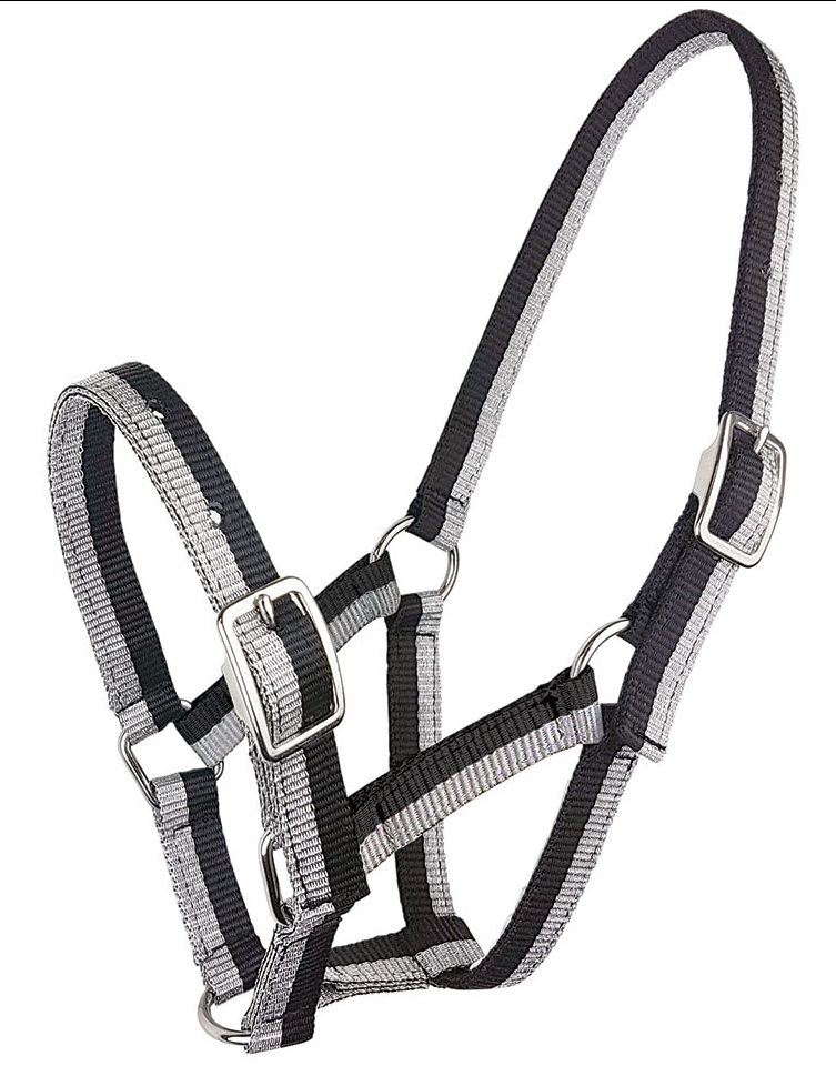 Zilcoスパークル無口