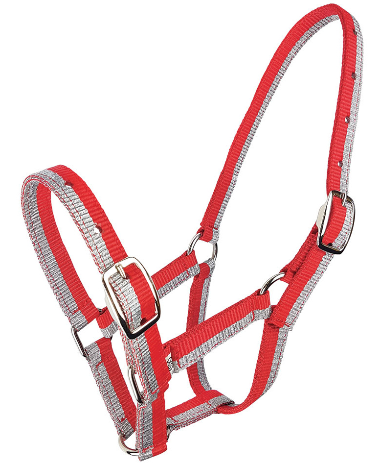 Zilcoスパークル無口