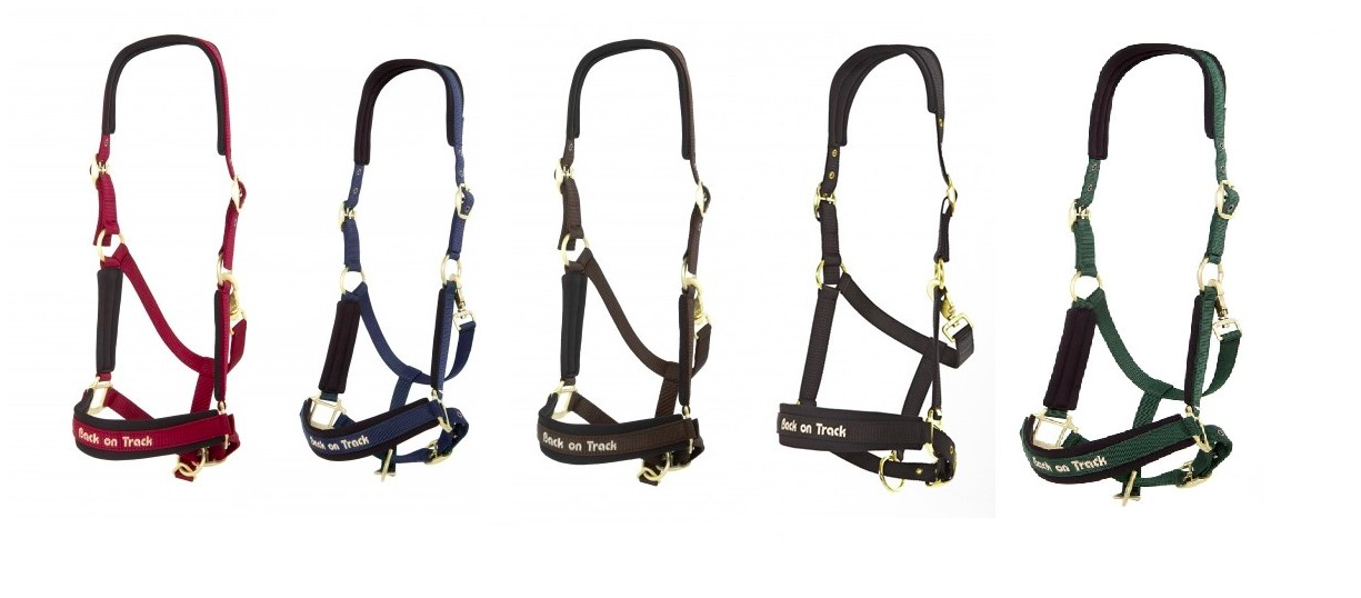 Back on Trackウェラノ・セラピック無口