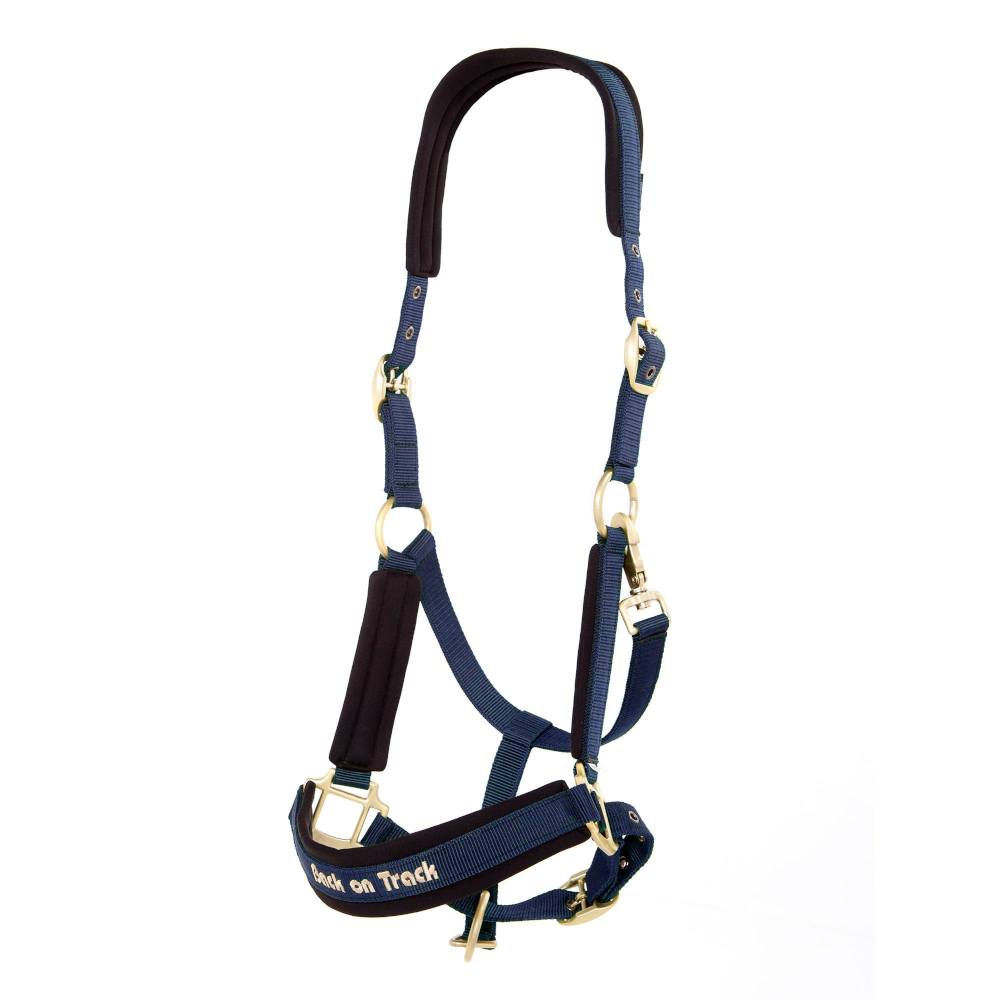 Back on Trackウェラノ・セラピック無口