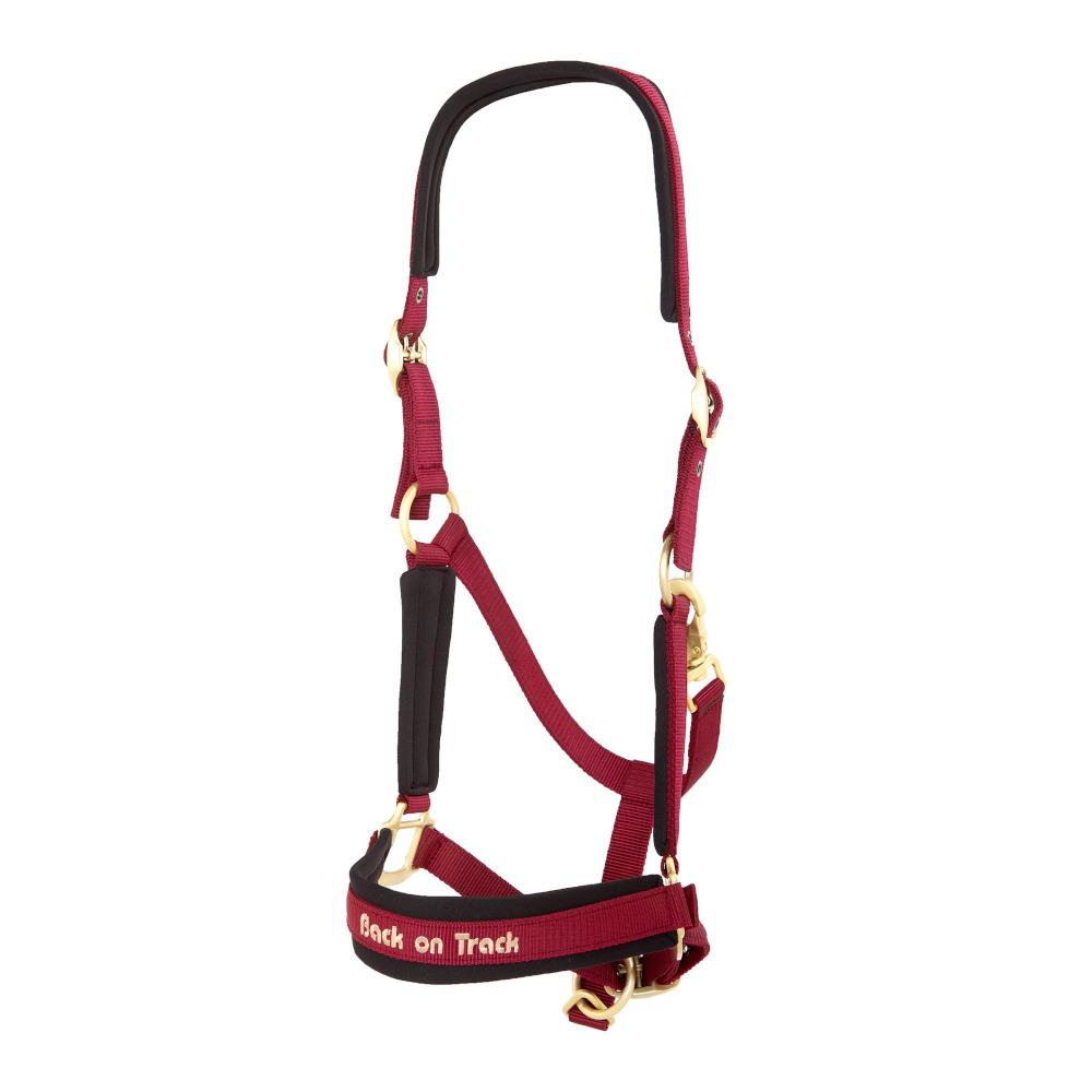 Back on Trackウェラノ・セラピック無口