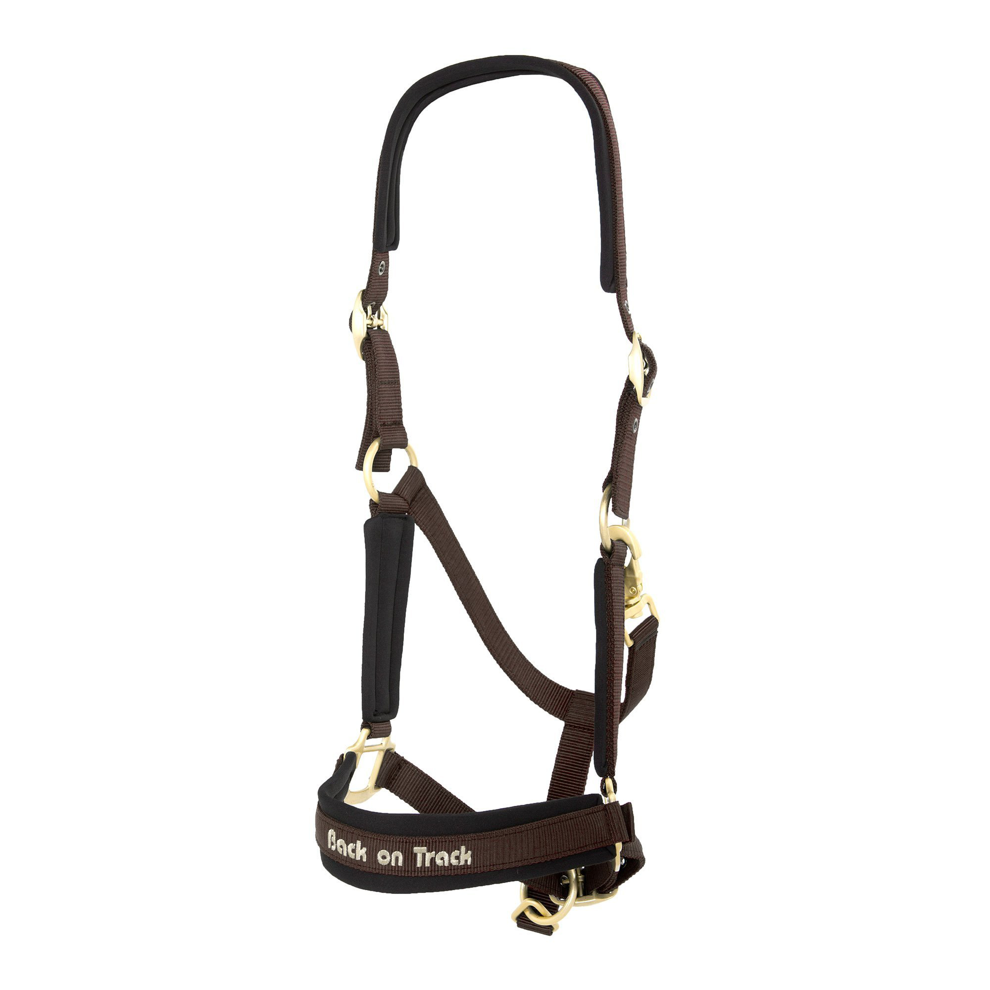 Back on Trackウェラノ・セラピック無口