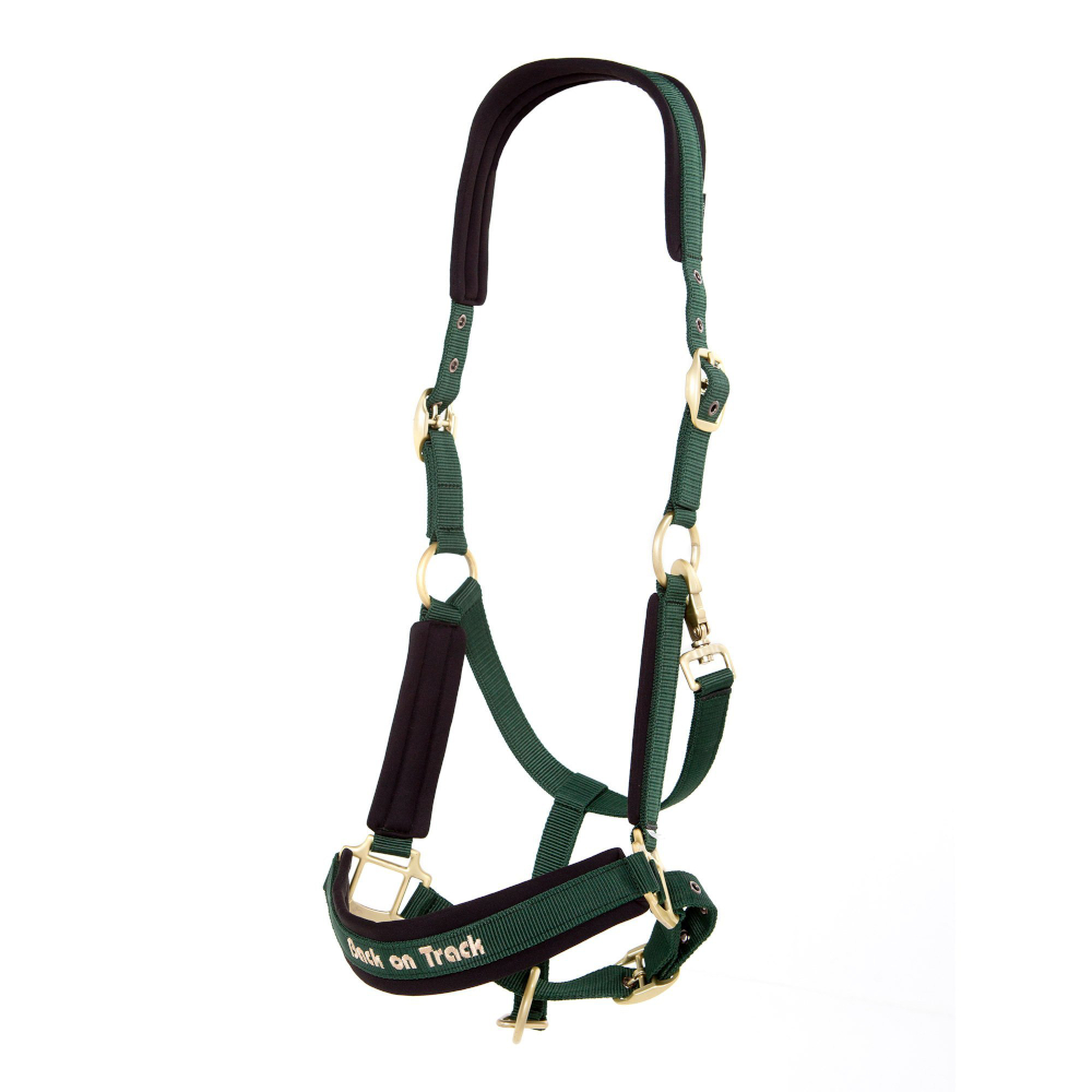 Back on Trackウェラノ・セラピック無口