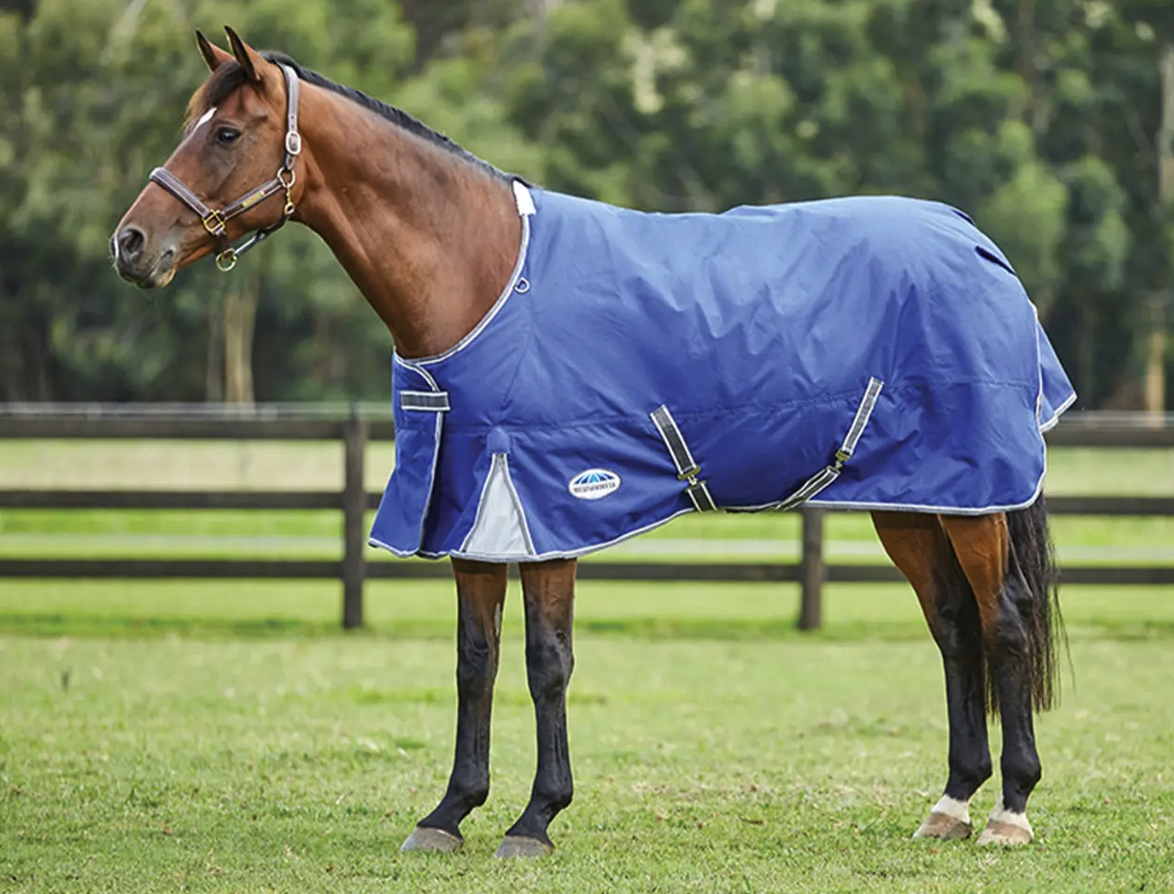 Weatherbeetaコンフィテック・プレミアフリーIIラグ・ライト0g