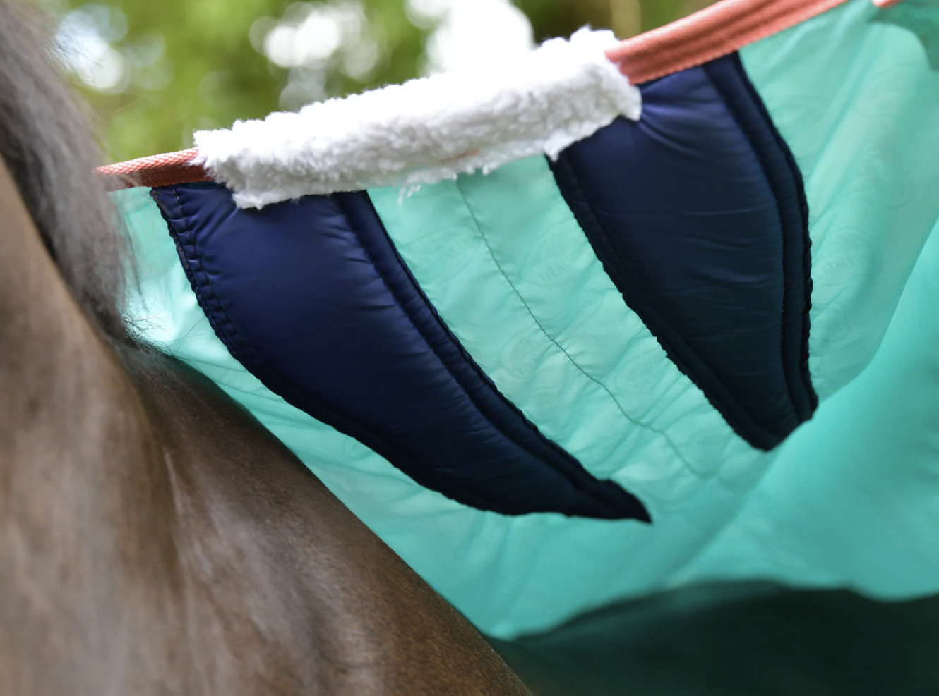 WBコンフィテック2024’プラスダイナミックコンボ・ミディアムライト100g