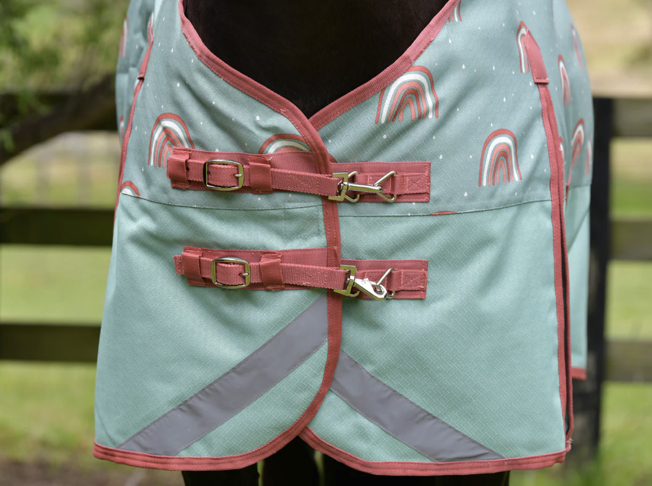 WBコンフィテック2024’プラスダイナミックコンボ・ミディアムライト100g