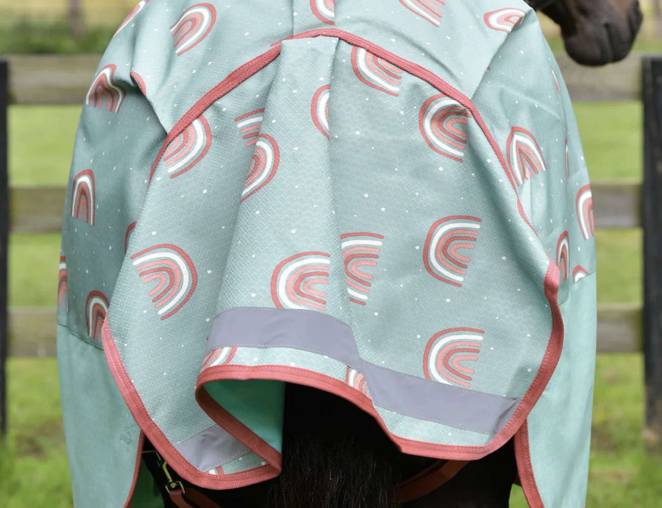 WBコンフィテック2024’プラスダイナミックコンボ・ミディアムライト100g