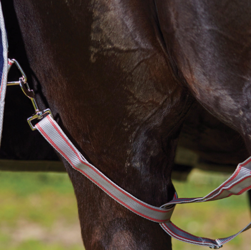 Weatherbeetaコンフィテック・エッセンシャル・ラグ