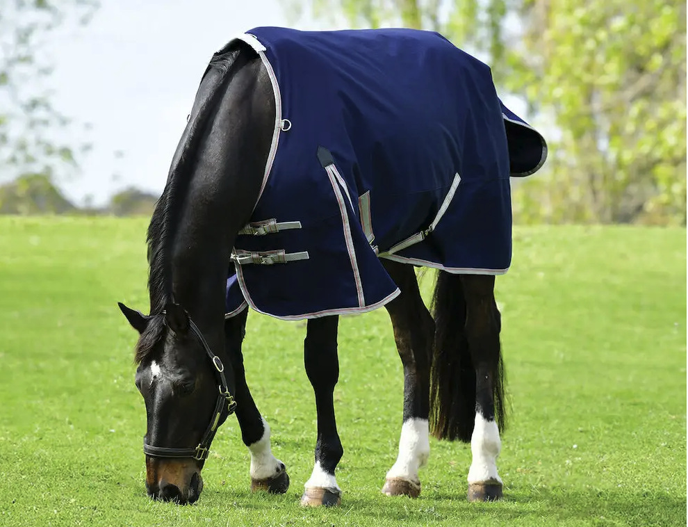 Weatherbeetaコンフィテック・エッセンシャル・ラグ