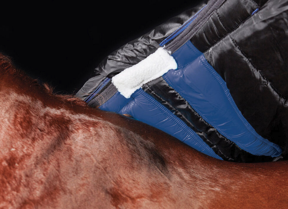 WBコンフィテック・プレミアフリー