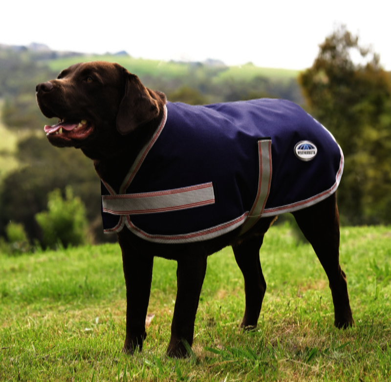 Weatherbeetaパーカーエッセンシャル1200Dミディアムライト・ドッグコート/25%OFF - 画像 (2)