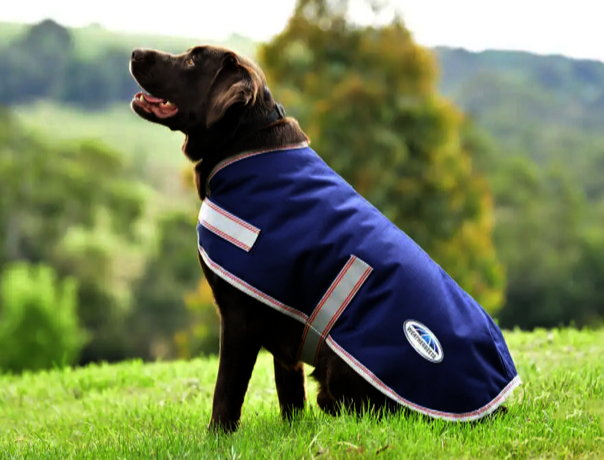 Weatherbeetaパーカーエッセンシャル1200Dミディアムライト・ドッグコート/25%OFF