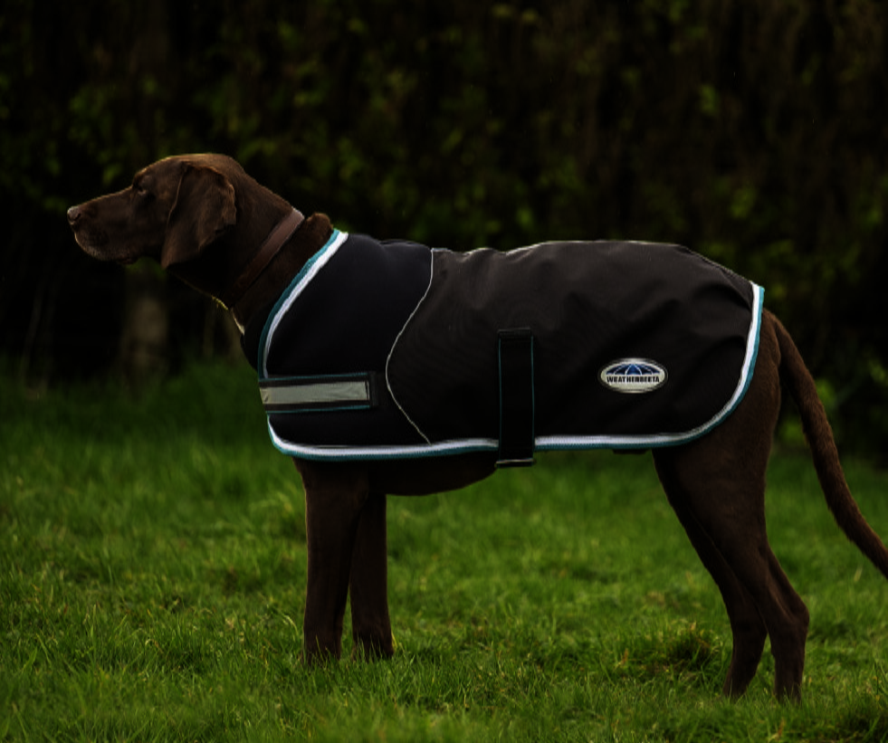 Weatherbeetaパーカー1800Dミディアムライト・ドッグコート/25%OFF