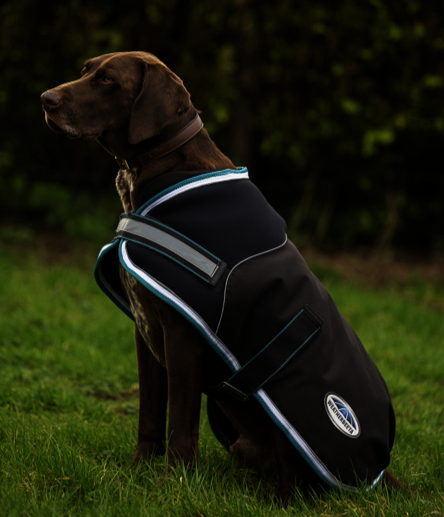 Weatherbeetaパーカー1800Dミディアムライト・ドッグコート/25%OFF - 画像 (2)