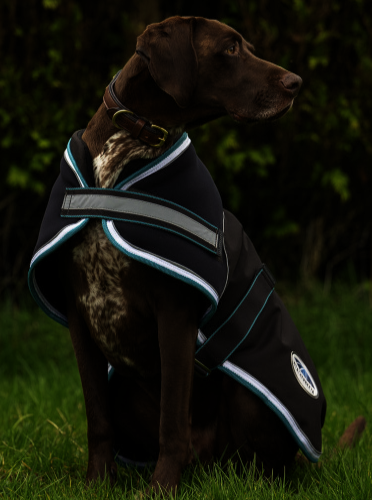 Weatherbeetaパーカー1800Dミディアムライト・ドッグコート/25%OFF - 画像 (3)