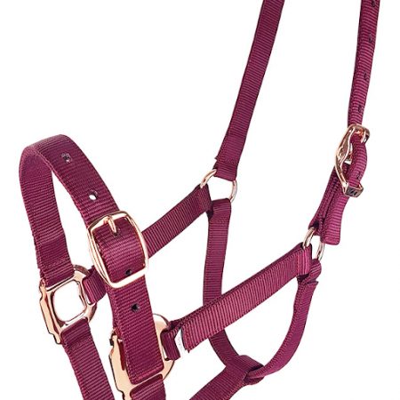 Zilcoエステート無口