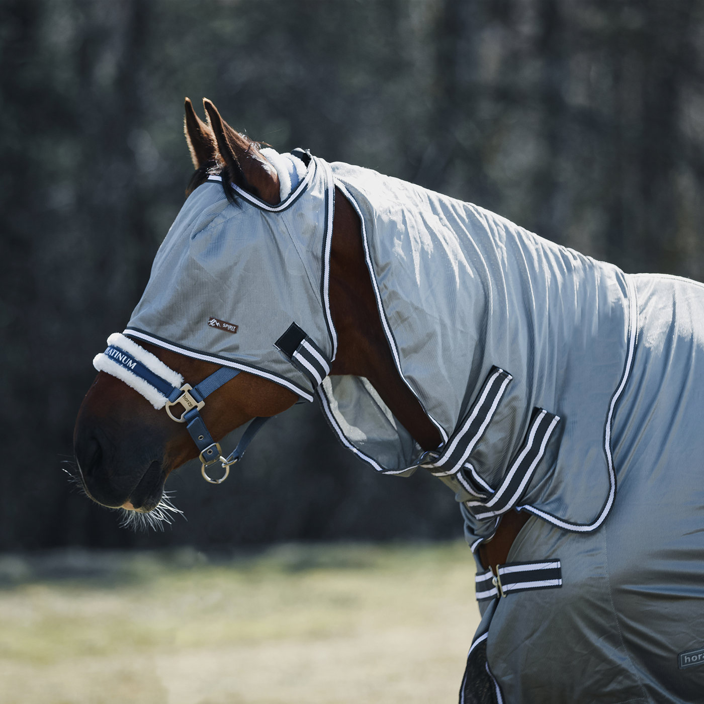 horzeラパンパ虫除けラグセット