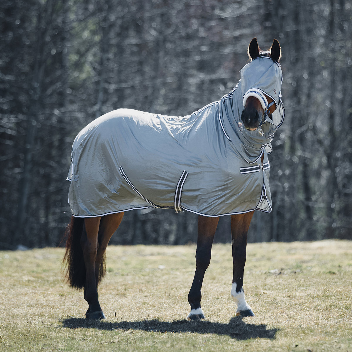 horzeラパンパ虫除けラグセット