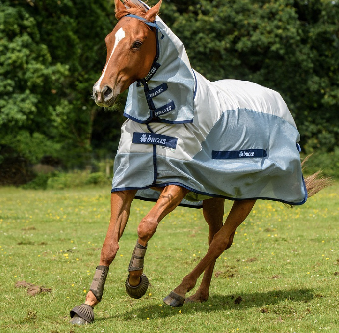 Bucasバズオフ・ブルーレインコンボ