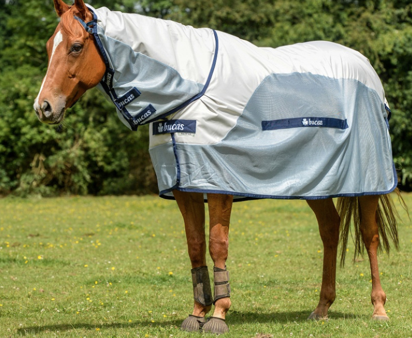 Bucasバズオフ・ブルーレインコンボ