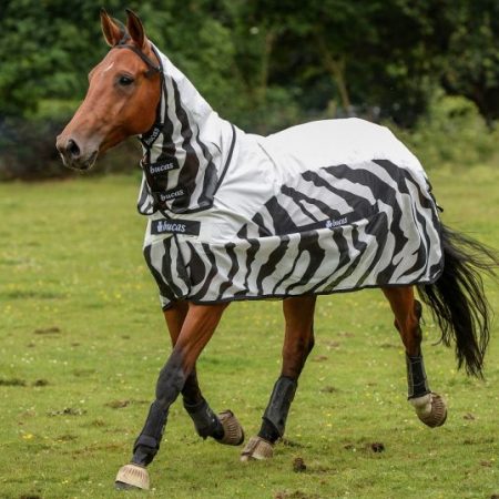 Bucasバズオフゼブラ・レインコンボ