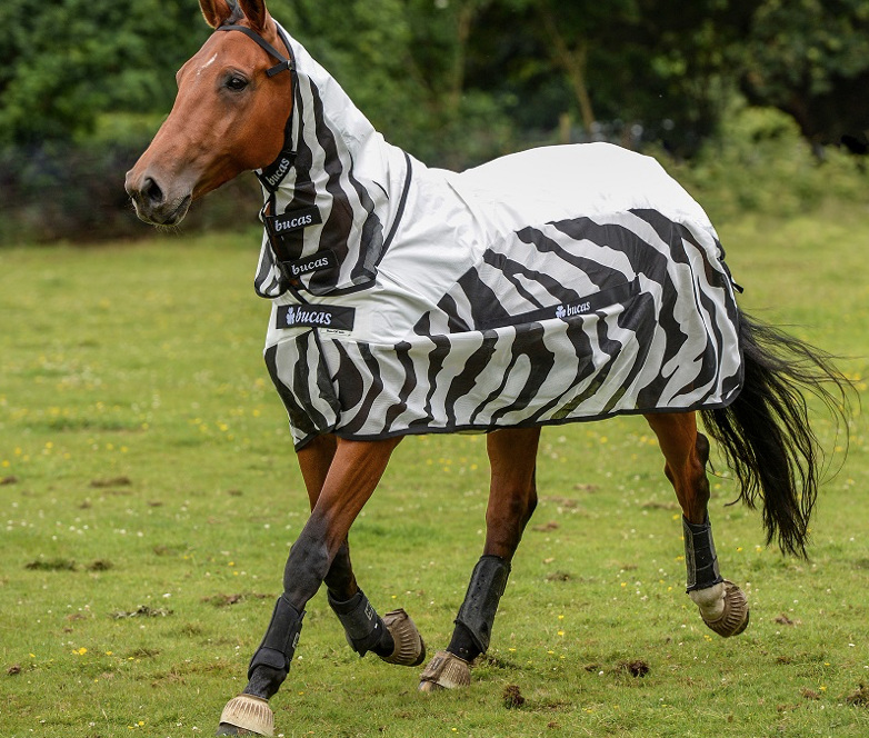 Bucasバズオフゼブラ・レインコンボ