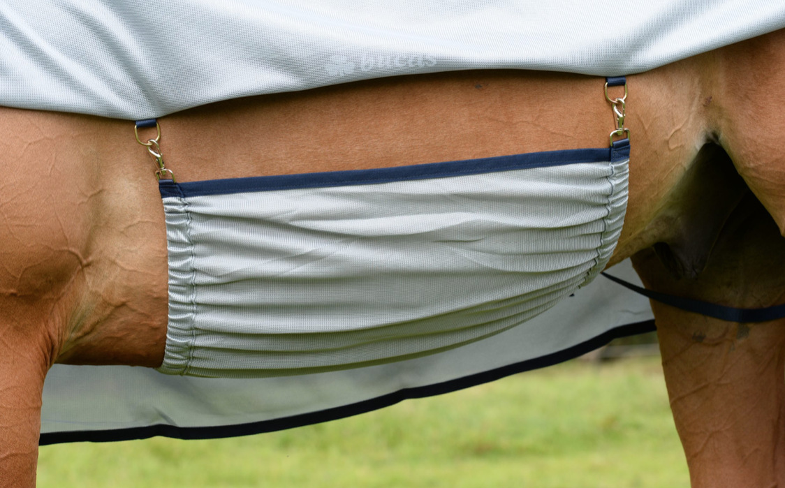 Bucasバズオフ・ブルーコンボ