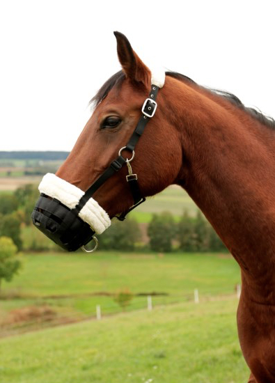 Cavaliero放牧用口カゴ