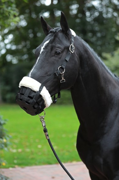 Cavaliero放牧用口カゴ