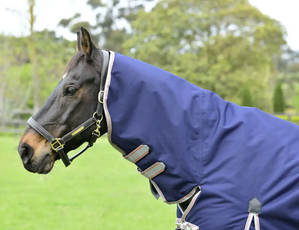 Weatherbeetaコンフィテック・エッセンシャル・ポニーコンボライトプラス50g