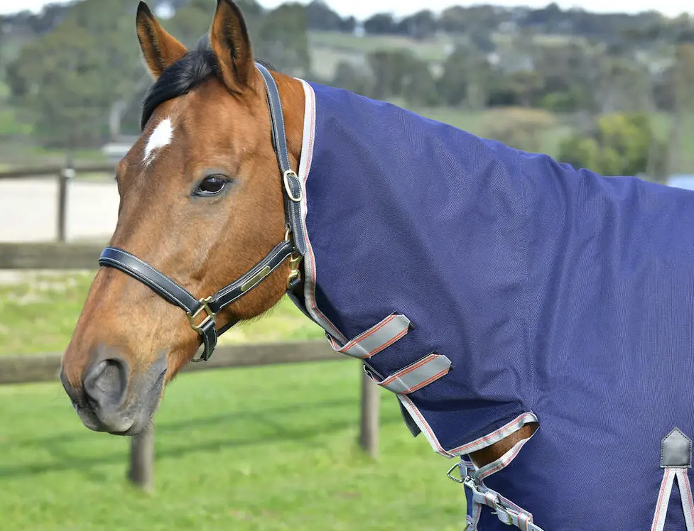 Weatherbeetaコンフィテック・エッセンシャルコンボライトプラス50g