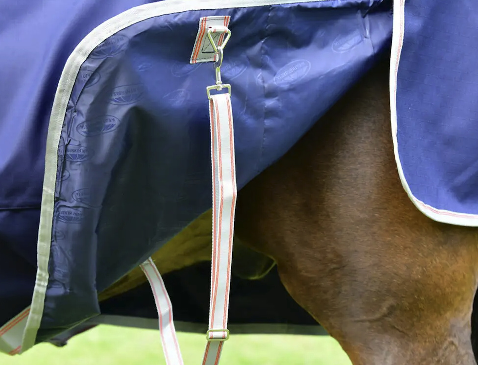 Weatherbeetaコンフィテック・エッセンシャル・ポニーコンボライトプラス50g