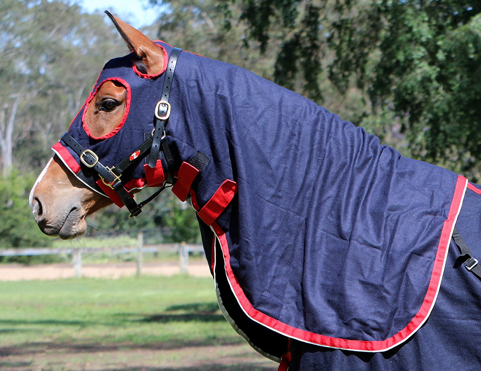 Zilcoスタジアム・ウールフード