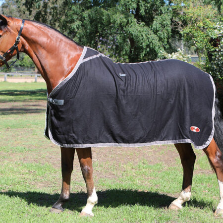 Zilcoスタジアム・ウールラグ