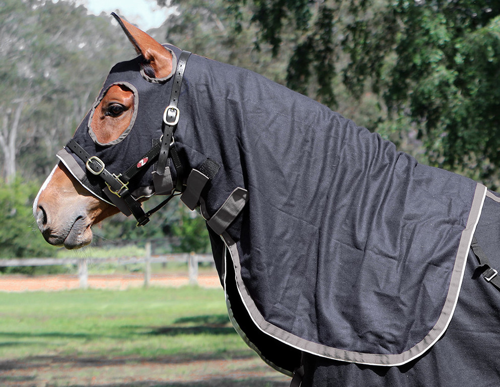 Zilcoスタジアム・ウールフード