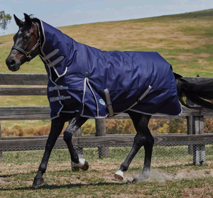 Weatherbeetaコンフィテック・エッセンシャル・コンボライトプラス50g/25%OFF