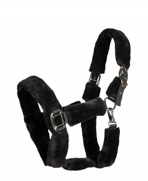 Back on Trackオードリー・セラピックフリース無口