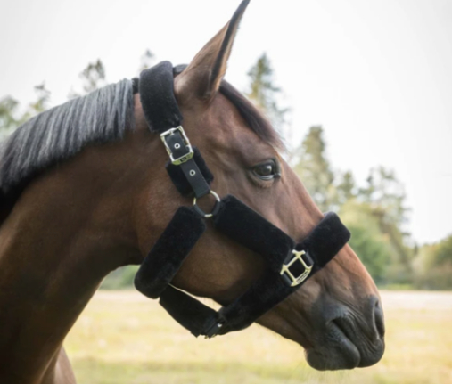 Back on Trackオードリー・セラピックフリース無口