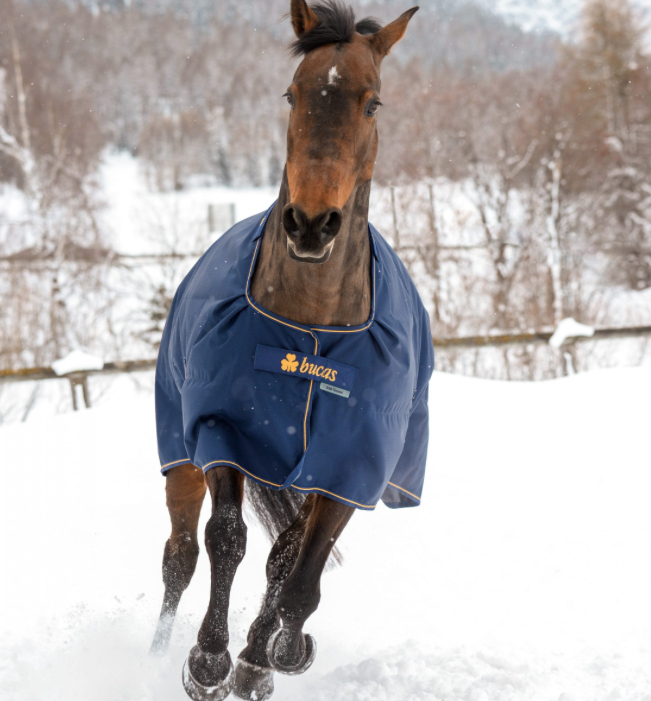 Bucasアイリッシュ・ターンアウトラグ