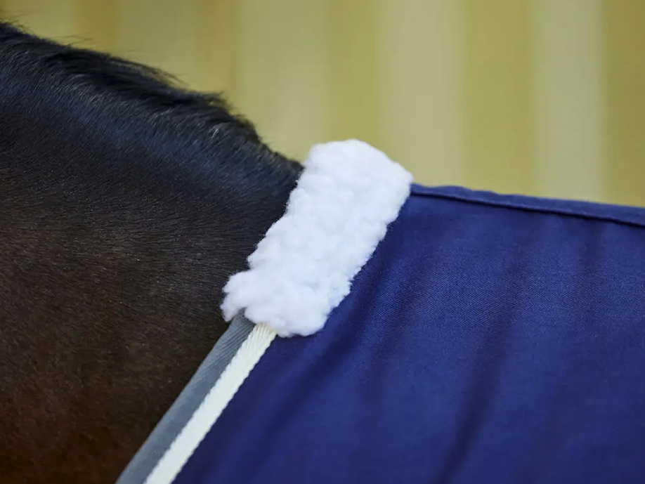 Weatherbeetaショーラグ