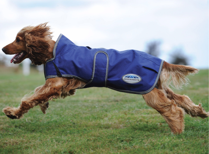 Weatherbeetaパーカー1200DプリミアフリーDX・ドッグコート