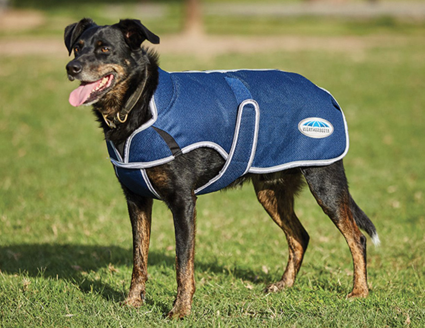 Weatherbeetaパーカー1200DプリミアフリーDX・ドッグコート