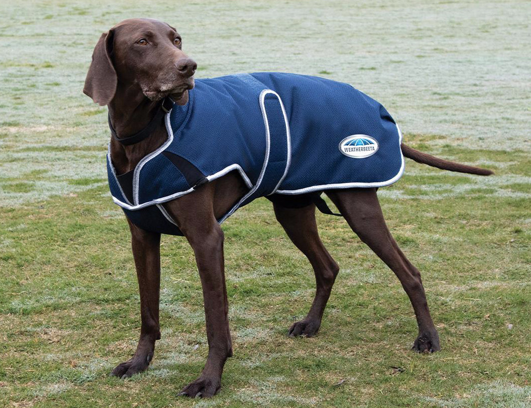 Weatherbeetaパーカー1200DプリミアフリーDX・ドッグコート