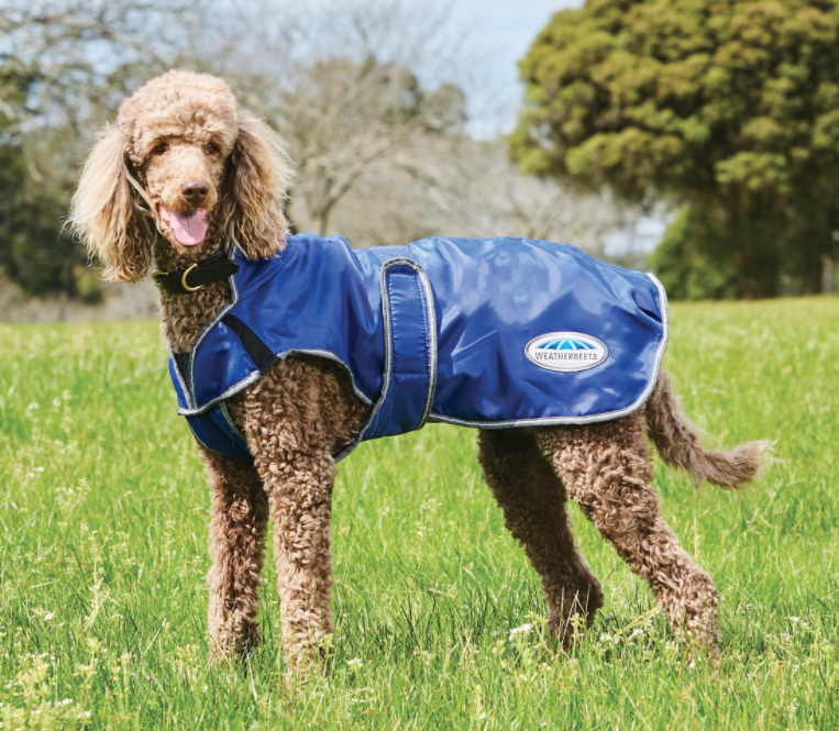 Weatherbeetaウィンドブレーカー420D・フリーDXドッグコート