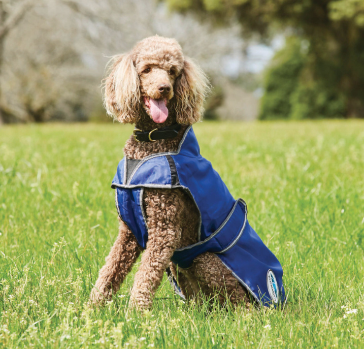 Weatherbeetaウィンドブレーカー420D・フリーDXドッグコート