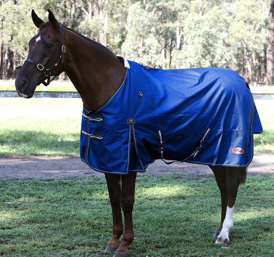 Zilcoガリソン・ラグ0g/25%OFF