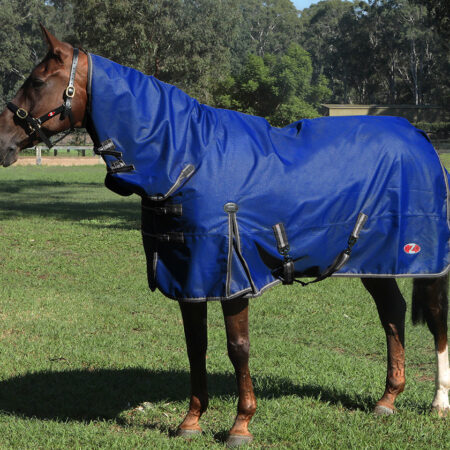 Zilcoガリソン・コンボ0g