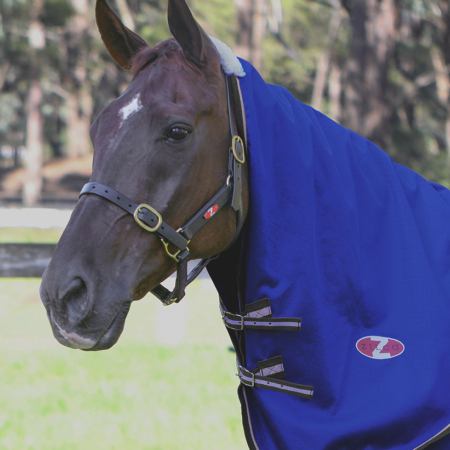 Zilcoガリソン・ネックラグ0g