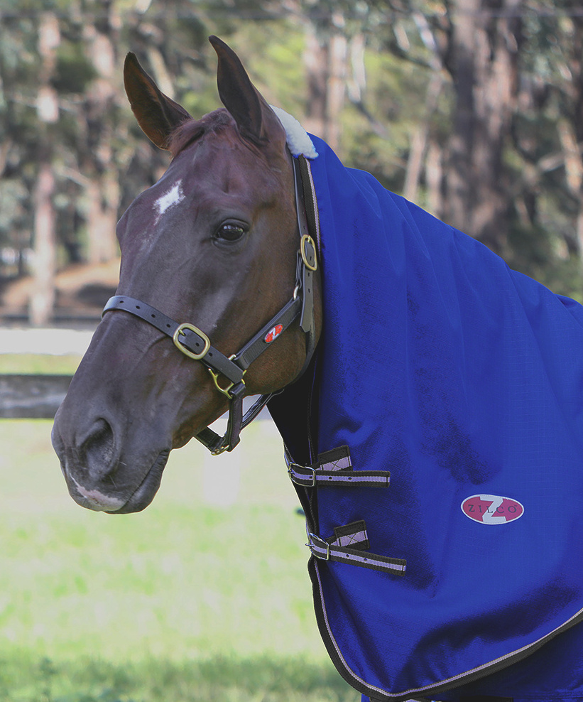 Zilcoガリソン・ネックラグ0g